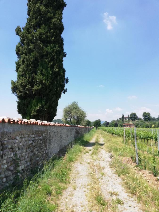 Franciacorta Flat & Bollicine Apartment Passirano ภายนอก รูปภาพ